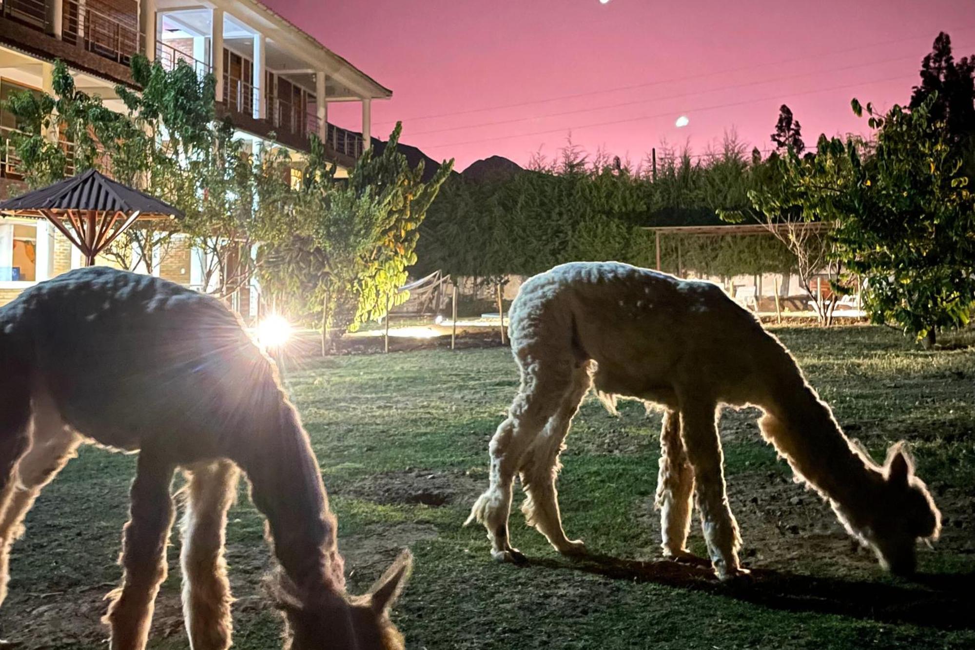 Runaway Eco Hotel Carhuaz ภายนอก รูปภาพ